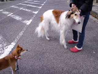 2011.1.13-7.JPG