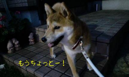 もうちょっと
