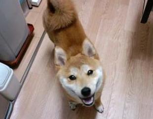 おわり１