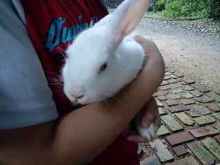 2011.7.12-4.JPG
