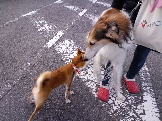 2011.1.13-8.JPG