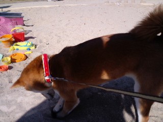 2011.3.14-2.JPG