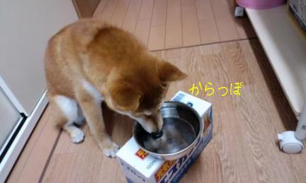 おやつ３