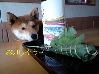 こどもの日