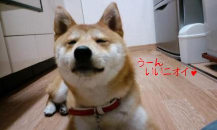 クッキー２