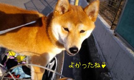自転車５
