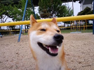2011.6.10-2.JPG