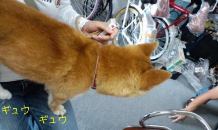 自転車４