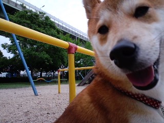 2011.6.10-3.JPG