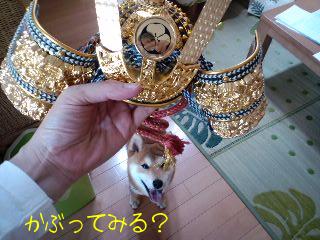 端午の節句