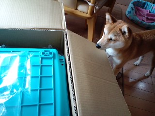 2011.5.23-4.JPG