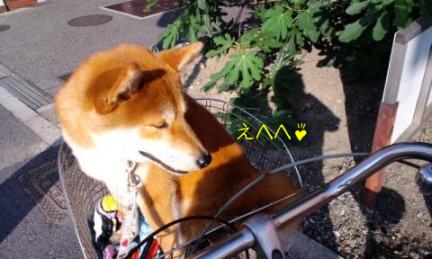 自転車２