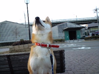 2011.3.30-3.JPG