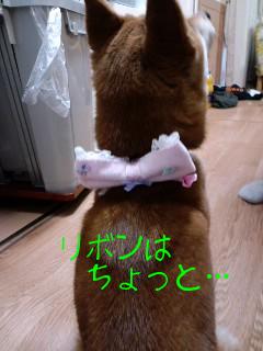 りぼん