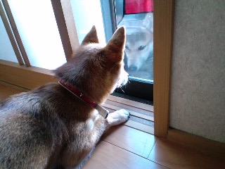 2010.12.28-2.JPG