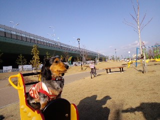 2011.3.10-2.JPG