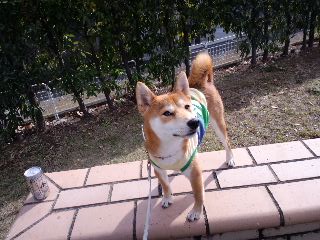 2011.1.23-2.JPG