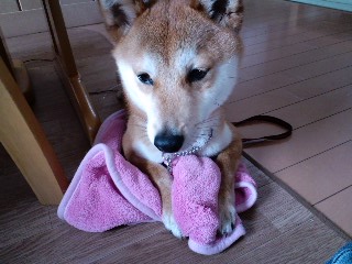 2011.5.23-6.JPG