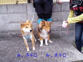 2011.1.6-1.JPG