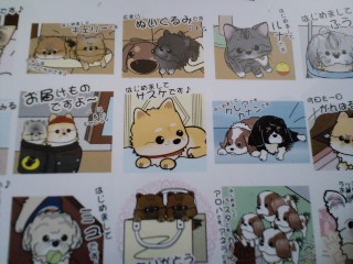 2011.6.15-1.JPG