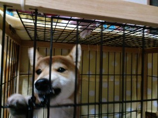 2011.3.4-2.JPG