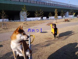 2011.3.10-3.JPG