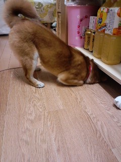 2011.4.20-2.JPG