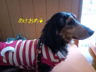 2011.1.6-4.JPG