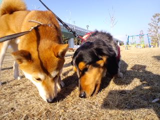 2011.3.10-5.JPG