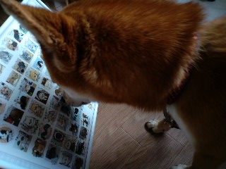 2011.6.15-3.JPG
