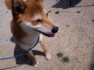 2011.5.9-4.JPG