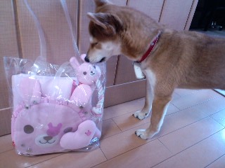 2011.1.21-1.JPG