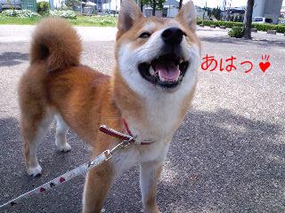 笑顔