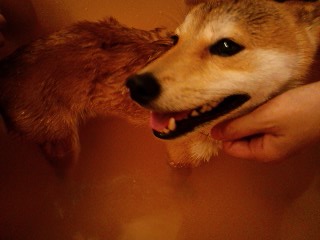 2011.7.20-3.JPG