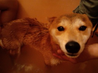 2011.7.20-4.JPG