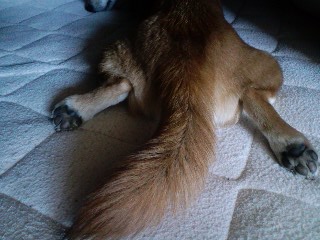 2011.3.23-2.JPG