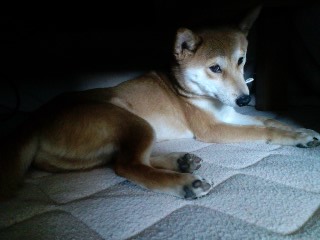 2011.3.23-4.JPG
