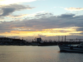 2011.6.28-1.JPG