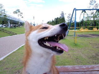 2011.8.6-2.JPG