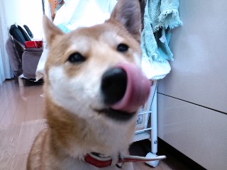 2011.2.21-1.JPG