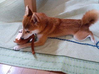 2011.8.8-2.JPG