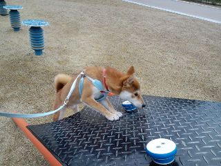 2011.3.18-2.JPG
