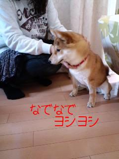 チョコ君のママ☆