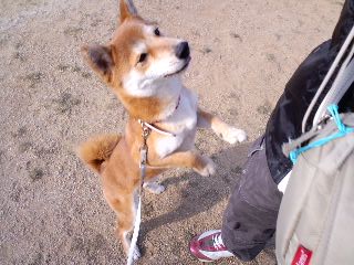 2011.1.24-2.JPG