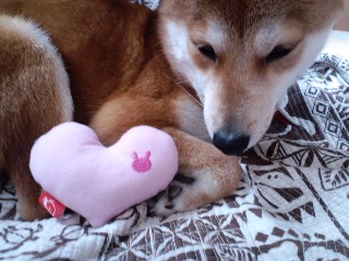 2011.3.15-1.JPG