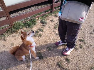 2011.1.24-4.JPG