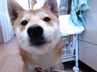 2011.2.21-4.JPG