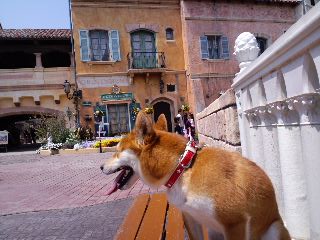 2011.4.26-4.JPG