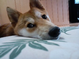 2011.8.5-2.JPG