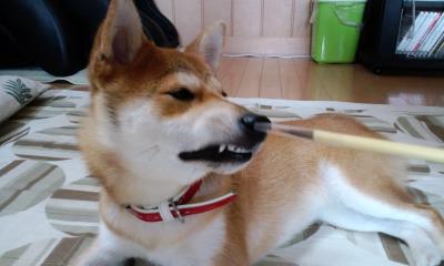 2010.10.25-3.JPG